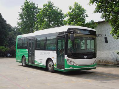 Feichi  FSQ6851BEVG Pure electric city buses