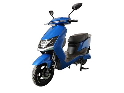 Dayang  DY800DQT Electric two wheeled light motorcycle