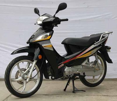 Sanling  SL11010 Two wheeled motorcycles