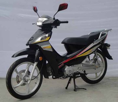 Sanling  SL11010 Two wheeled motorcycles