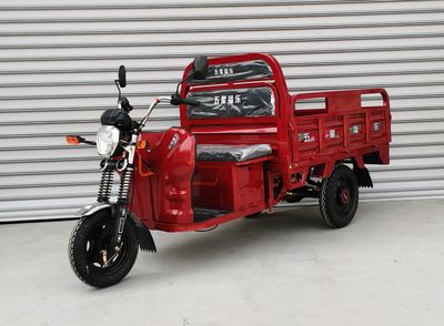 Five Star Fule  WX1000DZH Electric tricycle