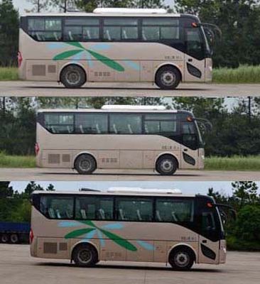 Ankai  HFF6819K10PHEV1 Plug in hybrid electric buses