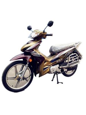 Xunlong  XL11010 Two wheeled motorcycles