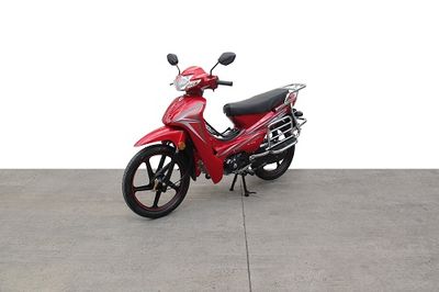 Shuangshi  SS1109C Two wheeled motorcycles