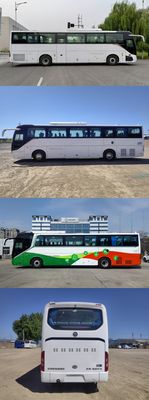 Foton  BJ6126FCEVUHN1 Fuel cell buses