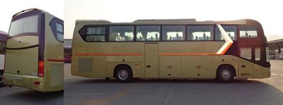 Jinlong  XMQ6129FYN5C coach