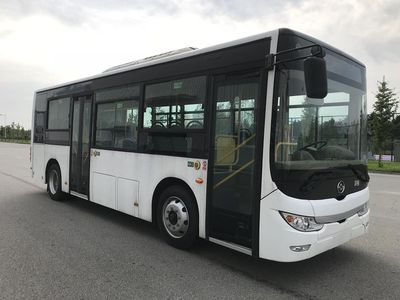 Huanghai  DD6851EV8 Pure electric city buses