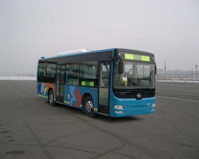 Huanghai  DD6892S01 City buses