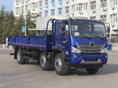 Foton  BJ1244VNPFB01 Truck