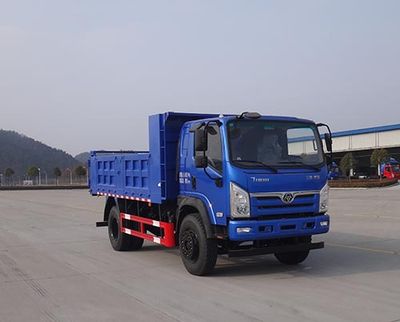 Shitong STQ3181L03Y3N6Dump truck