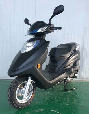 Qingling  QL125T10 Two wheeled motorcycles