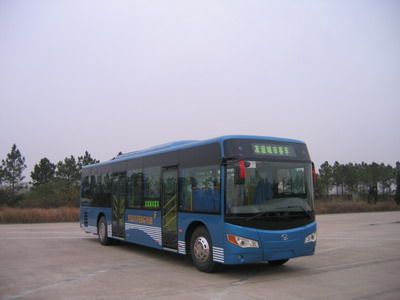 Friendship  ZGT6118DHS City buses