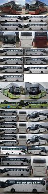 Jinlong  XMQ6127DYD6C coach