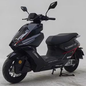 Tailing  TL2000DT66T Electric two wheeled motorcycle