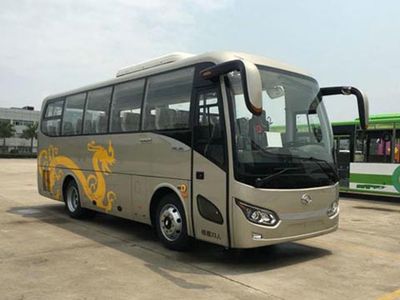 Jinlong  XMQ6829AYD5D coach