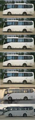 Jinlong  XMQ6829AYD5D coach