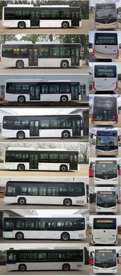 Foton  BJ6109EVCA3 Pure electric low floor city buses