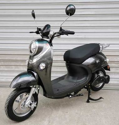 The Pearl River ZJ800DQTV Electric two wheeled light motorcycle