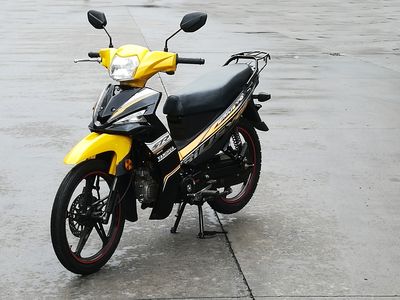 Putian  PT110B Two wheeled motorcycles