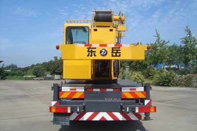 Dongyue  TA5131JQZ8 Car crane