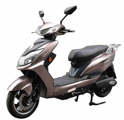 Tailing  TL1000DT12 Electric two wheeled motorcycle