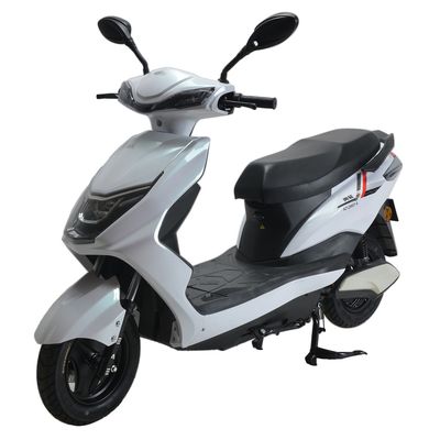 Aozheng  AZ1200DT6 Electric two wheeled motorcycle