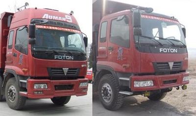 Ruijiang  WL5310GFLBJ44 Low density powder material transport vehicle