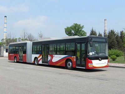 Huanghai  DD6181B01N City buses