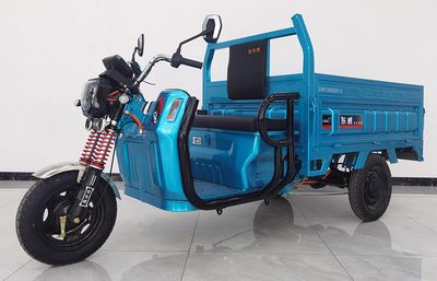 Dongwei  DW1200DZH3 Electric tricycle