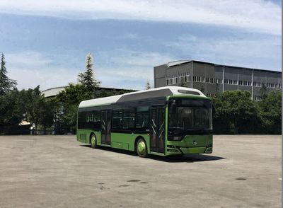 Hengtong Bus CKZ6116HBEV Pure electric city buses