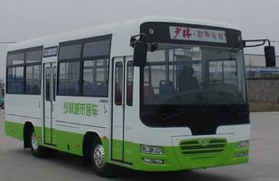 Shaolin  SLG6730T3GN City buses