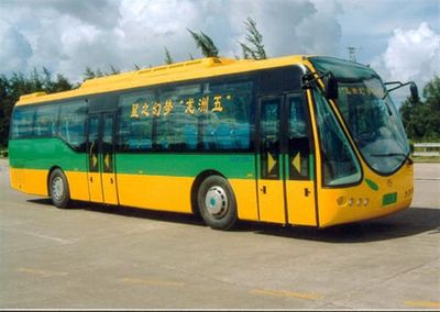 Wuzhoulong FDG6120DGCity buses