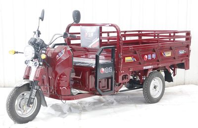 Mount Everest  ZF1200DZH6 Electric tricycle