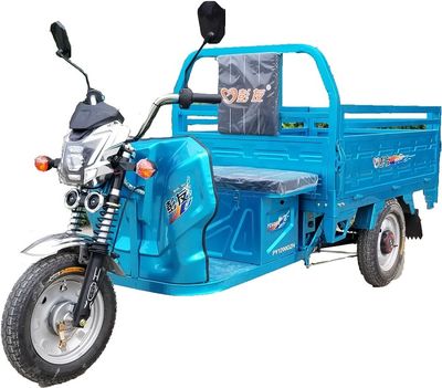 Pengyou  PY1200DZH Electric tricycle