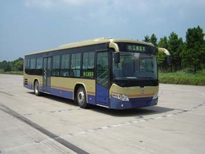 Heke HK6118GCity buses