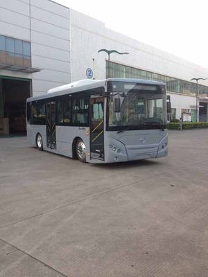 Wuzhoulong FDG6851EVG2Pure electric city buses