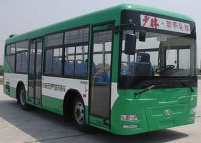 Shaolin SLG6900T3GFRCity buses