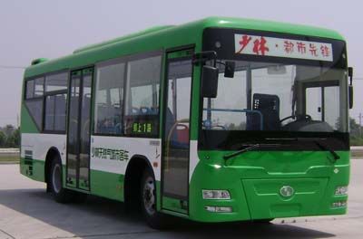 Shaolin  SLG6900T3GFR City buses