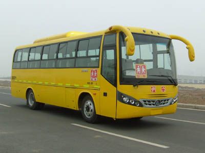 Lingyu  CLY6902DEA Elementary school bus