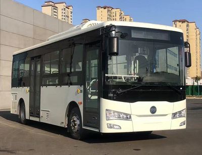 Dezhi Era  DZE6810GBEV Pure electric city buses