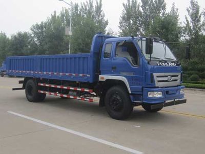 Foton  BJ3125DGPFG1 Dump truck