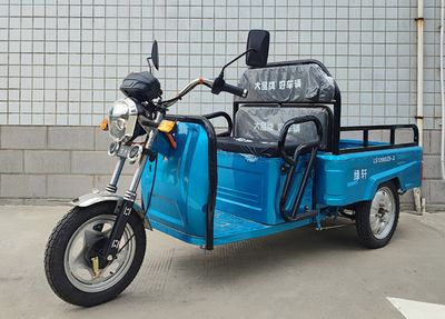 Green Xuan LS1200DZH2Electric tricycle