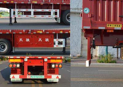 Tianjun Dejin brand automobiles TJV9403CCYE Gantry transport semi-trailer