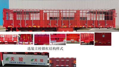 Tianjun Dejin brand automobiles TJV9403CCYE Gantry transport semi-trailer