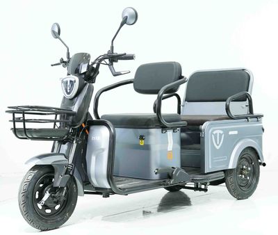 Tailing  TL1200DZK28 Electric tricycle