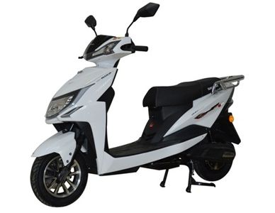 Dayang DY800DQT5Electric two wheeled light motorcycle