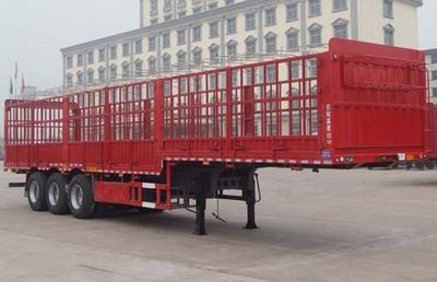 De Shuai  DSP9380CCY Gantry transport semi-trailer