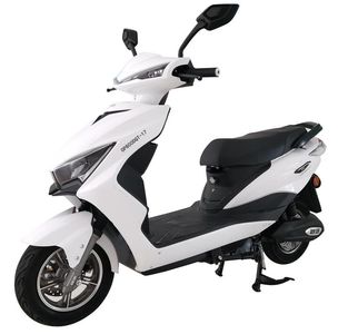 Europa  OP800DQT17 Electric two wheeled light motorcycle