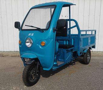 Yulong Motors YL1000DZH6A Electric tricycle