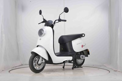 Emma  AM1000DT17S Electric two wheeled motorcycle